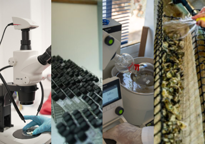 Image de présentation de l'UMR SECOPOL